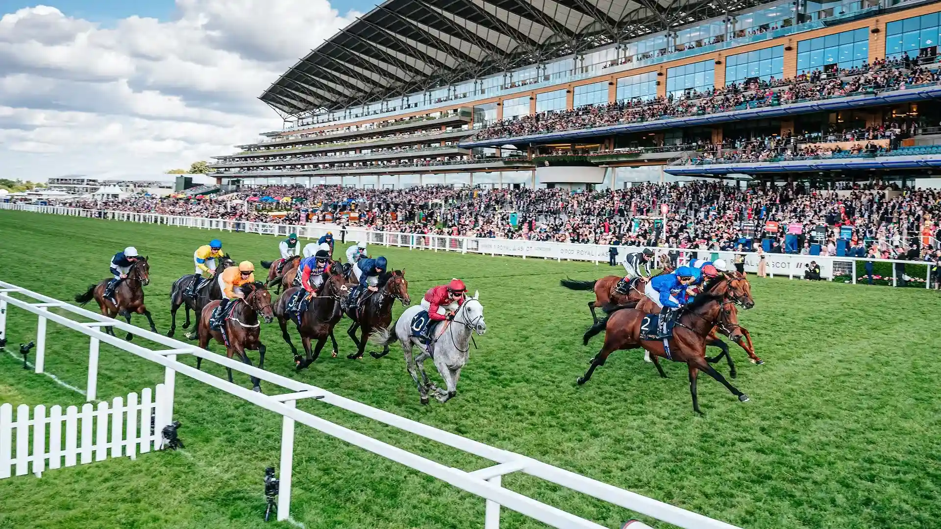 British Champions Day racing at Ascot