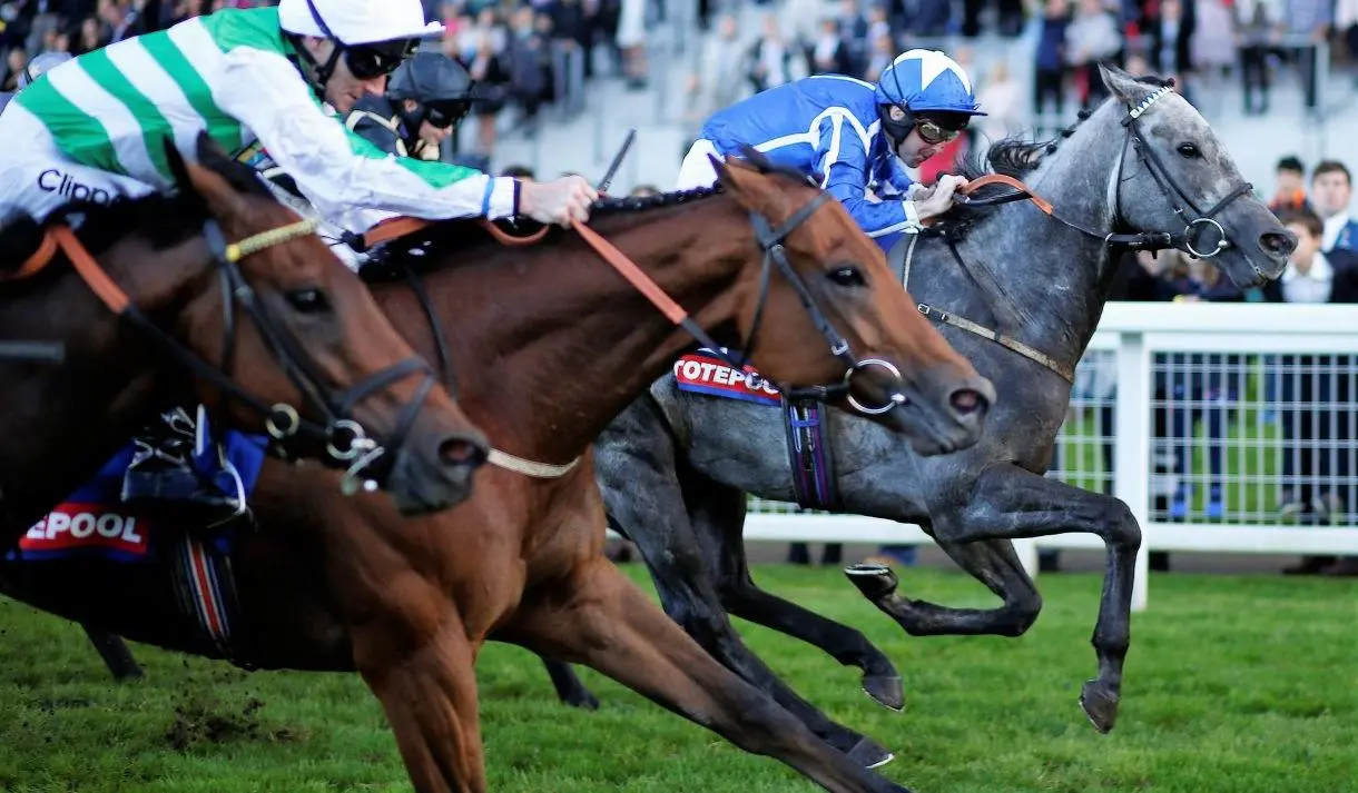 Horses racing at the BetMGM Autumn Racing Weekend